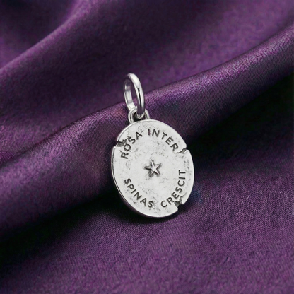 rose - growing through hardship